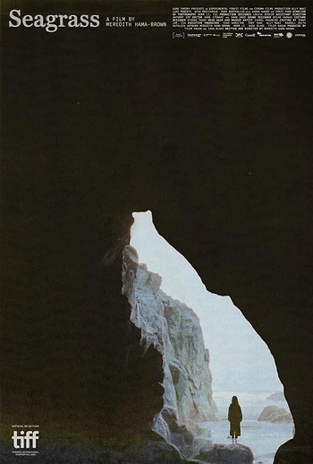 Poster for Seagrass