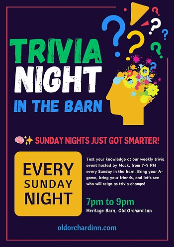 Poster for Trivia Night