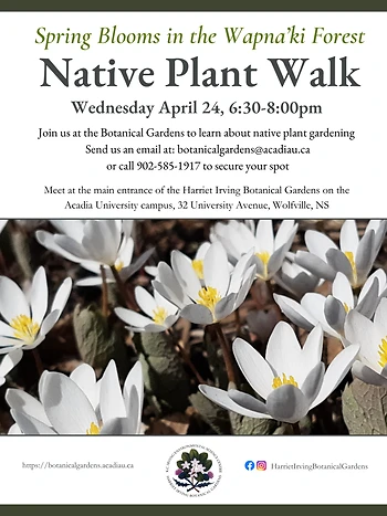 Poster for Spring Blooms in Wapna'ki