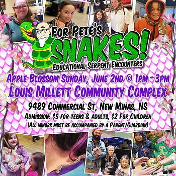 Poster for Apple Blossom Snakes