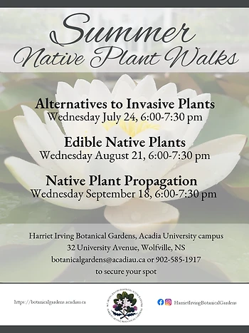Poster for Native Plant Walk