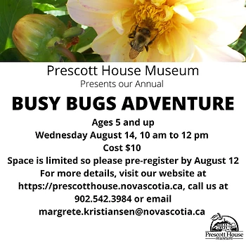 Poster for Busy Bugs