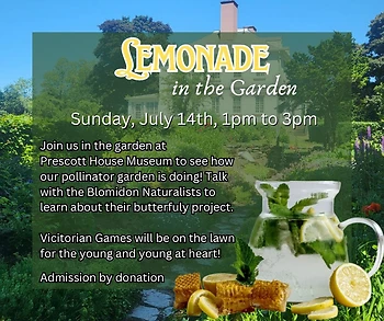 Poster for Lemonade in the Garden