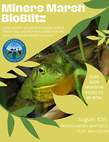 Poster for Miners Marsh Bioblitz