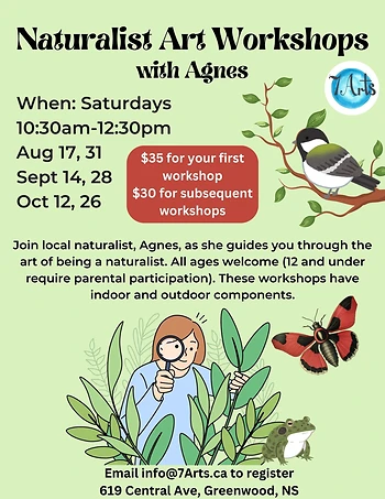 Poster for Naturalist Art Workshop