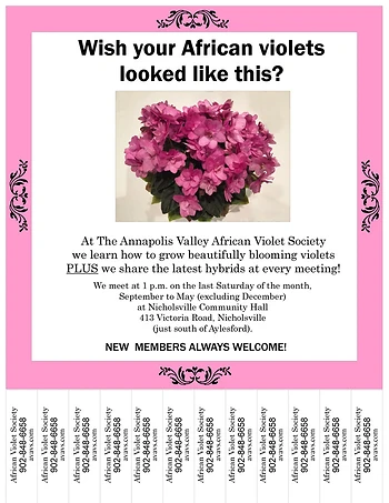 Poster for African Violet Society