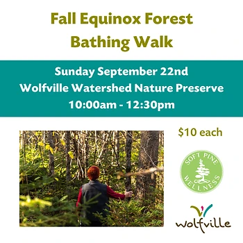 Poster for Fall Equinox Forest Bathing Walk