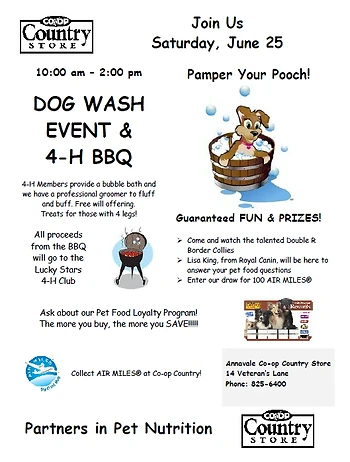 Poster for Dog Wash and BBQ