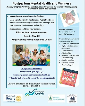 Poster for Postpartum Mental Health & Wellness