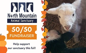 Poster for 50/50 Raffle Fundraiser