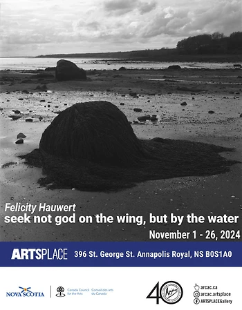 Poster for Opening / seek not god on the wing, but by the water, Felicity Hauwert