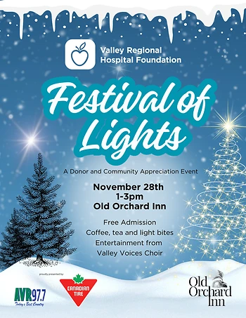 Poster for Festival of Lights