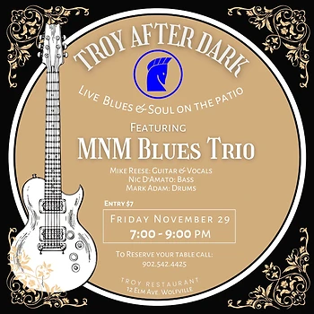 Poster for MNM Blues Trio at Troy After Dark