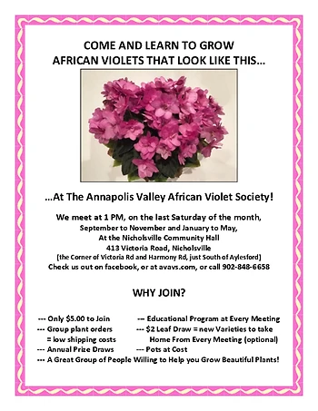Poster for African Violet Society Meeting