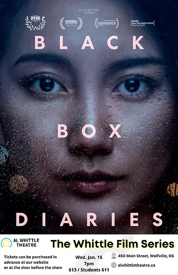 Poster for Black Box Diaries