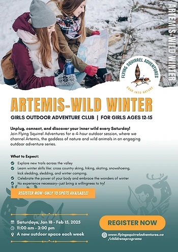 Poster for Artemis Wild Winter
